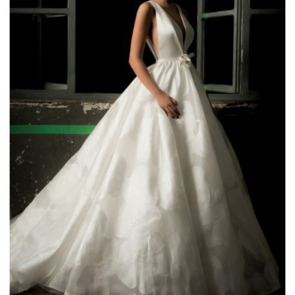 Valentini Barbara Wedding Dress Size 4 - Picture 3 of 8